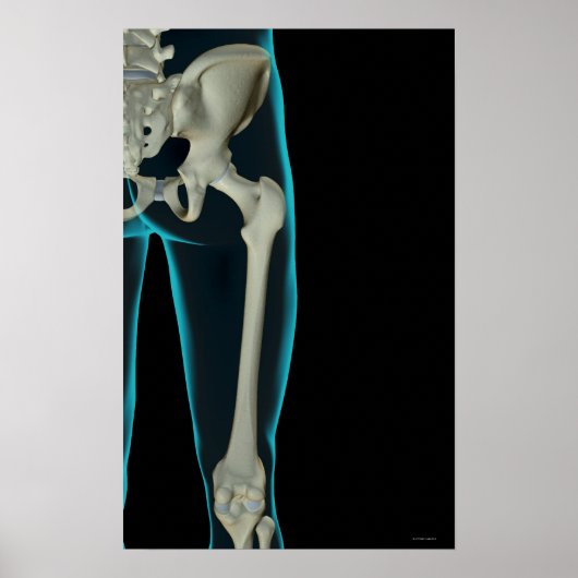 お尻2 ポスター (正面)