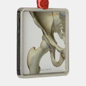 お尻5の骨 メタルオーナメント (右)