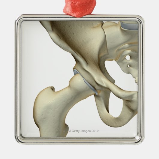 お尻5の骨 メタルオーナメント (正面)