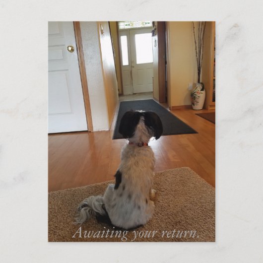 お帰りを待っている ポストカード (正面)