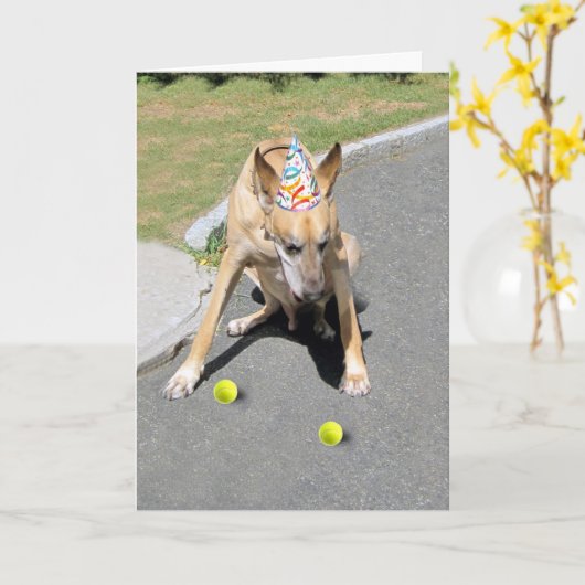 お年寄り犬 カード (黄色い花)