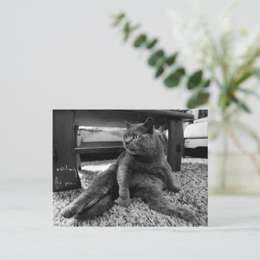 お待ち – はがき (スタンド正面)