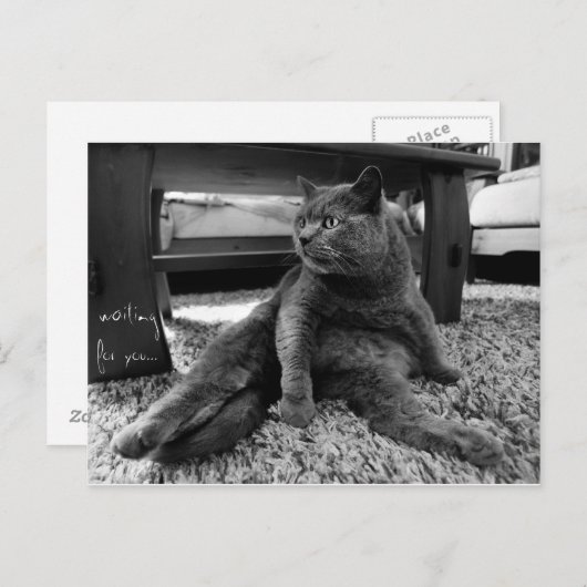 お待ち – はがき (正面/裏面)