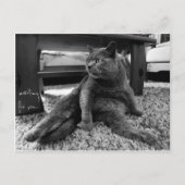 お待ち – はがき (正面)