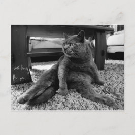 お待ち – はがき