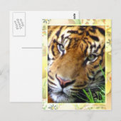 お待恋しく思ち_ ポストカード (正面/裏面)