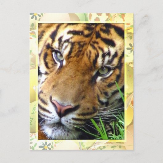 お待恋しく思ち_ ポストカード (正面)