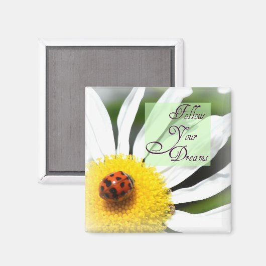 お後を追りLadybug Magnet マグネット (正面/裏面)