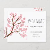 お得なさくら桜の木 お引越ししました (正面/裏面)