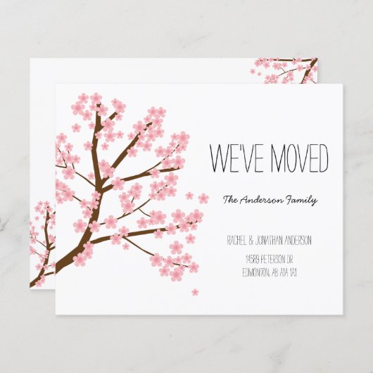 お得なさくら桜の木 お引越ししました (正面/裏面)