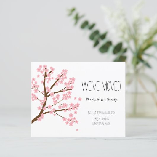 お得なさくら桜の木 お引越ししました (スタンド正面)