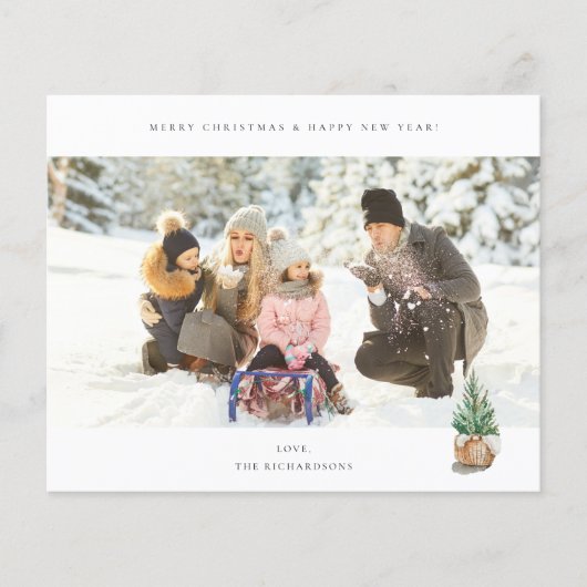 お得なパノラマ写真 - 冬の木 チラシ (正面)