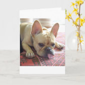 お恋しく思前だ！ブルドフランスのッグカード カード (黄色い花)