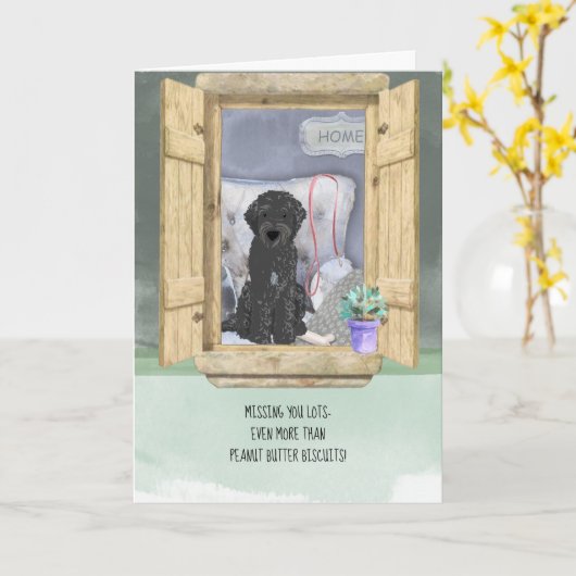 『お恋しく思前は窓に黒いラブラドル犬をくじく カード (黄色い花)