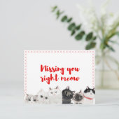 お恋しく思前は ポストカード (スタンド正面)