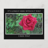 お恋しく思前ら雨の滴る赤いバラで寂しい ポストカード (正面)