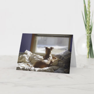 お恋しく思前 カード