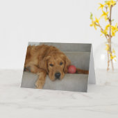 お恋しく思前!カード カード (黄色い花)