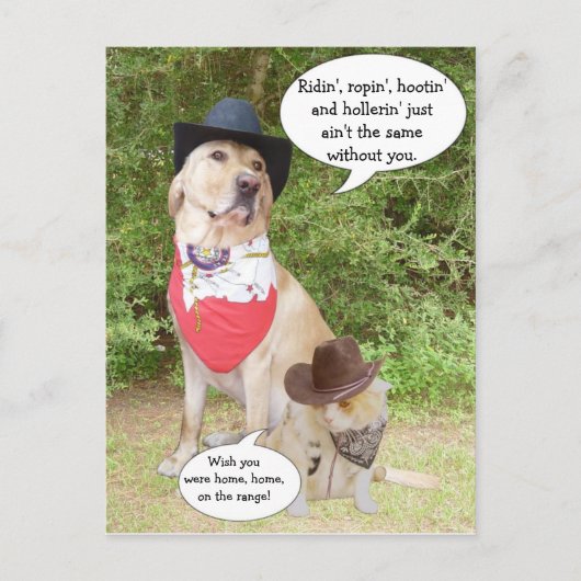 お恋しく思前… ポストカード (正面)