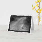 『お悔やみのカード』 カード (黄色い花)