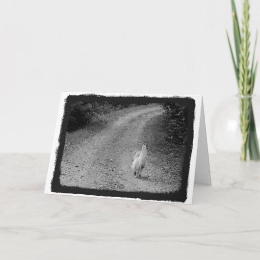 『お悔やみのカード』 カード (正面)