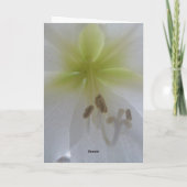 お悔やみ申し上げます カード (裏面)