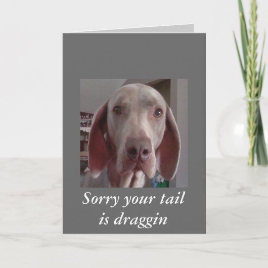 お手数です カード (正面)