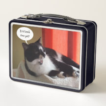 お昼はまだタキシード猫の弁当箱