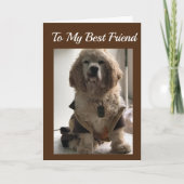 **お最高の前の誕生日に** カード (正面)