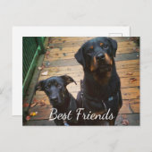 お最高の友達Dogggieあなたの言葉イメージタンプレート ポストカード (正面/裏面)