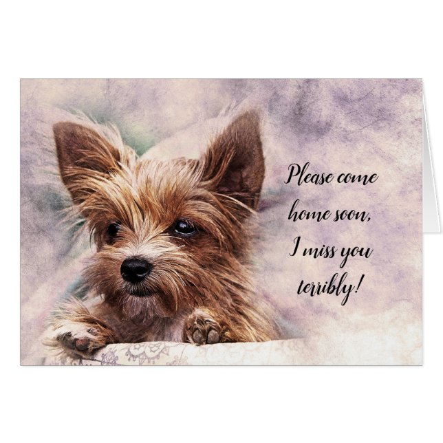 お来帰り恋しく思下さい (正面横)