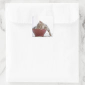 お椀に寝ている子猫 スクエアシール (バッグ)