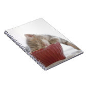 お椀に寝ている子猫 ノートブック (右側)