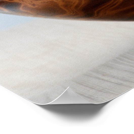 お椀に寝る子猫 ポスター (角)