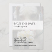 お楽しみに：新しい子犬の誕生が期待されます 招待状 (裏面)