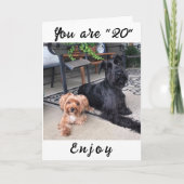 **お楽しむ使いの**20th**誕生日!!!!**誕生日カード カード (正面)