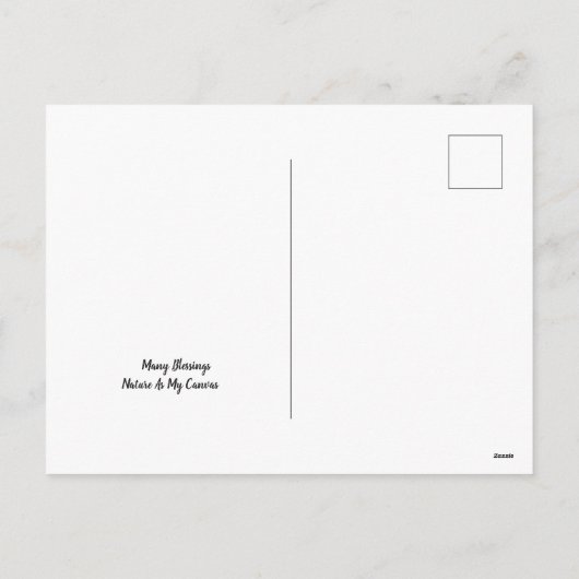 お正月の花火のポストカード シーズンポストカード (裏面)