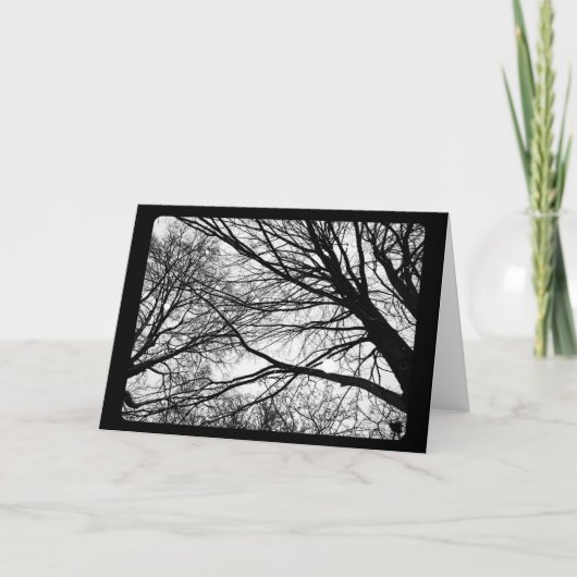 お正月 & 至冬: カエデの木に降る雪 シーズンカード (正面)