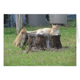 お母さんおよび子ネコの感謝カード