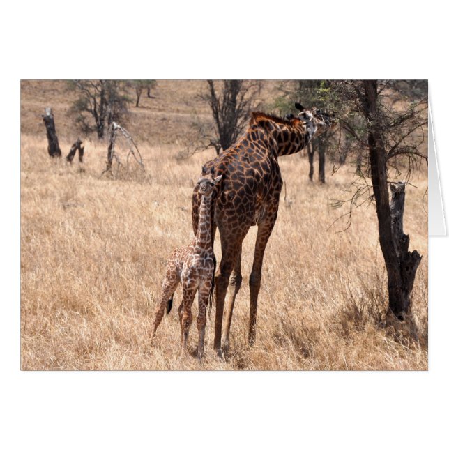 お母さんおよび私 (正面横)