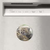 お母さんとのチーター・カブ マグネット (インサイチュ (食洗機))