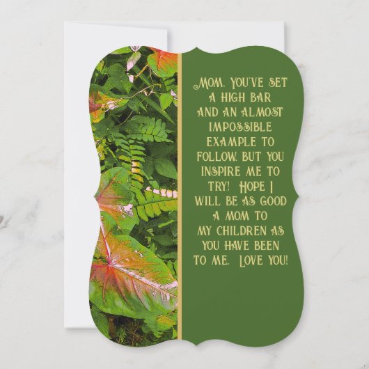 「お母さんと同じくらい良くなってほしい」 / フローラ (裏面)