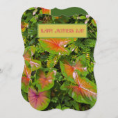 「お母さんと同じくらい良くなってほしい」 / フローラ (正面/裏面)