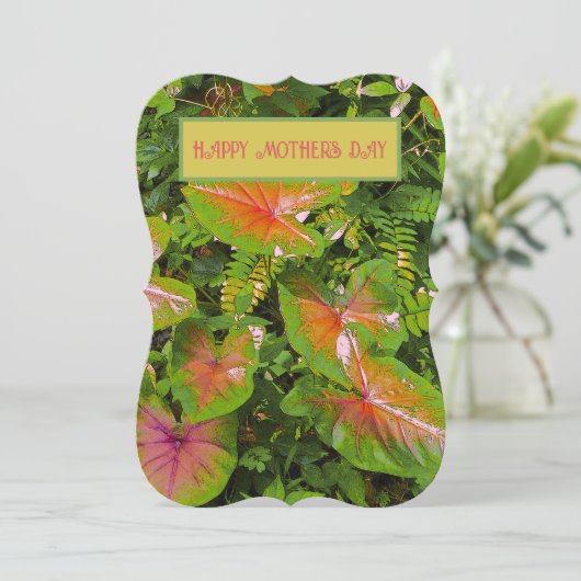 「お母さんと同じくらい良くなってほしい」 / フローラ (スタンド正面)