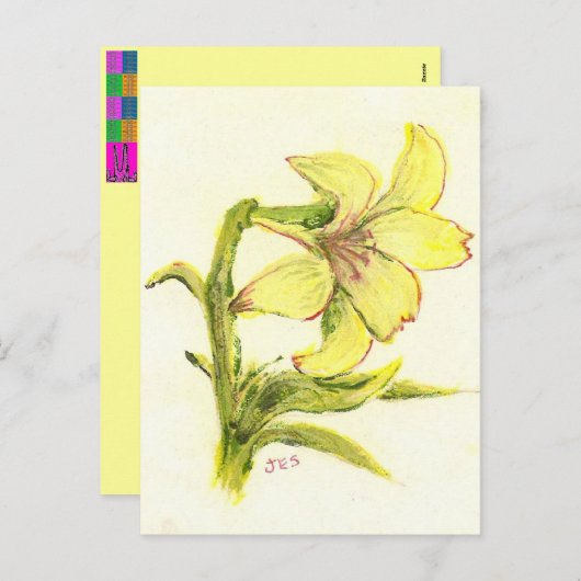 お母さんによるイースターLilly シーズンポストカード (正面/裏面)