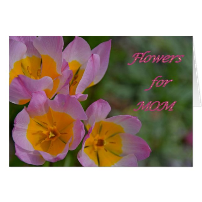 お母さんのための花 (正面横)