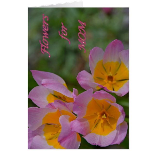 お母さんのための花 (正面)