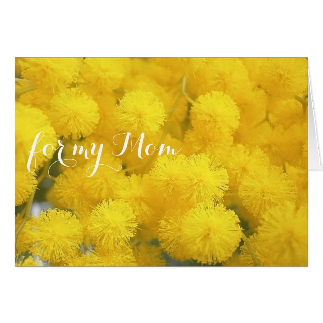 お母さんのためのmimosa (正面横)