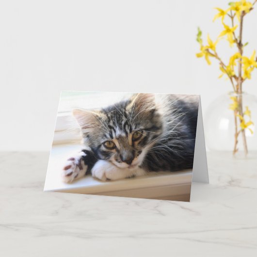 お母さんのデイカードを全部子猫に カード (黄色い花)