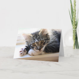 お母さんのデイカードを全部子猫に カード